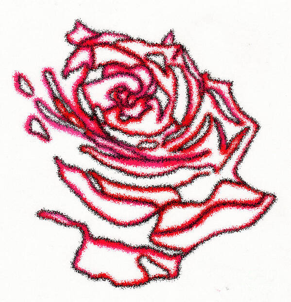 Roses Art Print featuring the drawing Rose 3 by Christine Perry