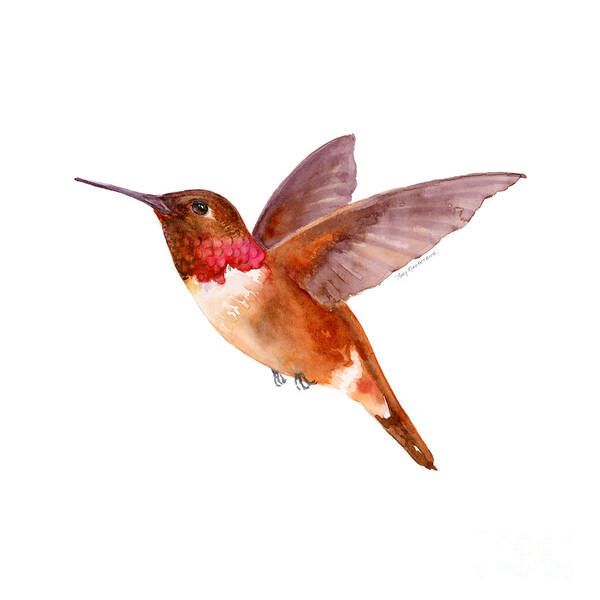 Bird Art Print featuring the painting Rufous Hummingbird by Amy Kirkpatrick