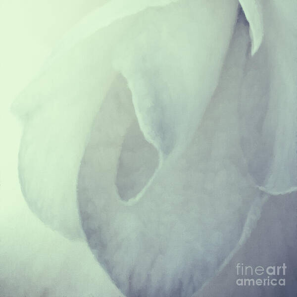 White Art Print featuring the digital art Sanctus by Jean OKeeffe Macro Abundance Art