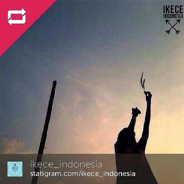 Ikece Art Print featuring the photograph Saying Thank You So Much To by Mbot Syauqi