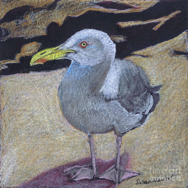 Seagull Art Print featuring the painting Seagull on the Rocks by Susan Herbst