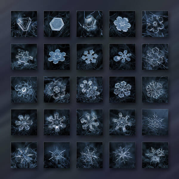 Snowflake Art Print featuring the photograph Snowflake collage - Season 2013 dark crystals by Alexey Kljatov