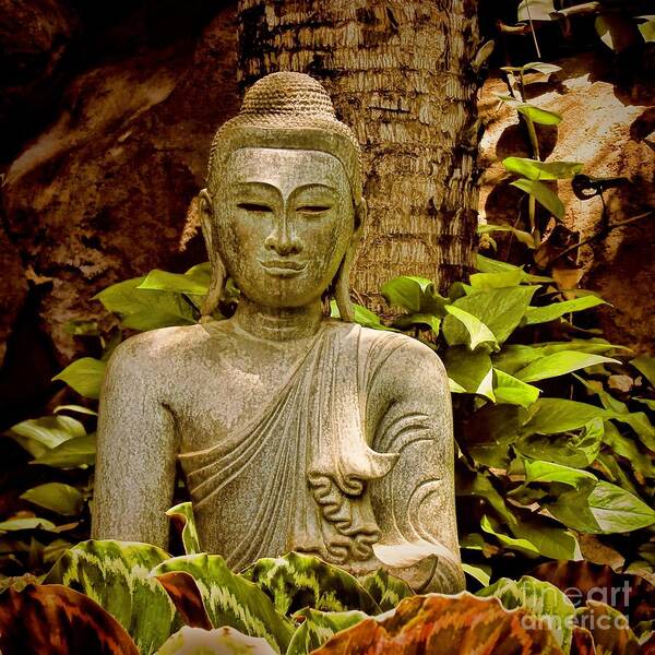 Zen Art Print featuring the photograph Serenity by Peggy Hughes