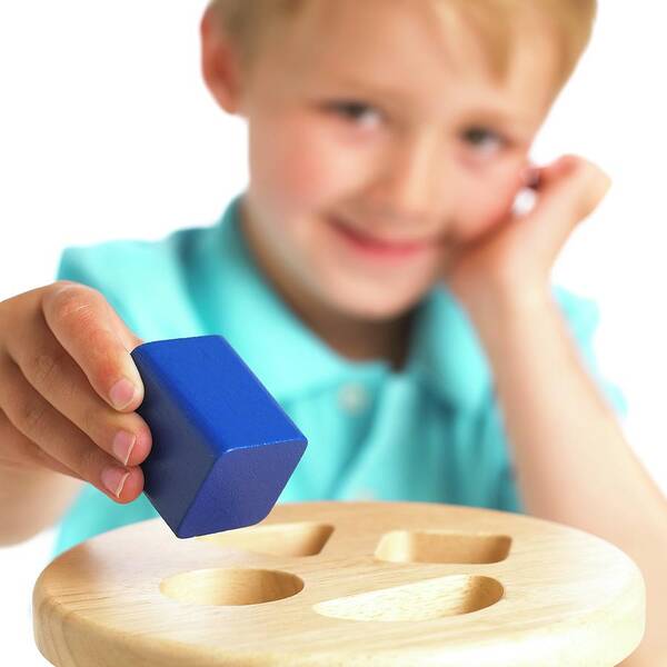 Indoors Art Print featuring the photograph Shape Sorter by Science Photo Library