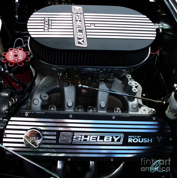 Shelby Art Print featuring the photograph Shelby by Roush by Chris Thomas