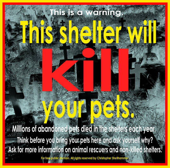 Puppy Art Print featuring the photograph Shelter will kill your pets by Christopher Shellhammer