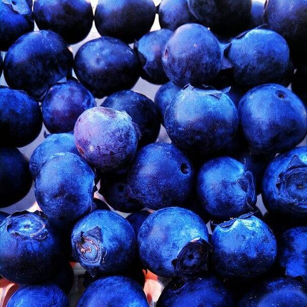 Blueberries Art Print featuring the photograph #snack #blueberries by Rachel Friedman