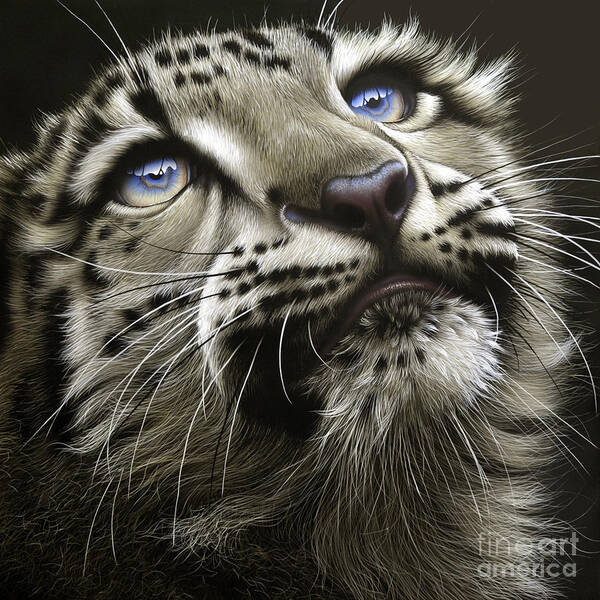 Snow Leopard Cub Art Print featuring the painting Snow Leopard Cub by Jurek Zamoyski