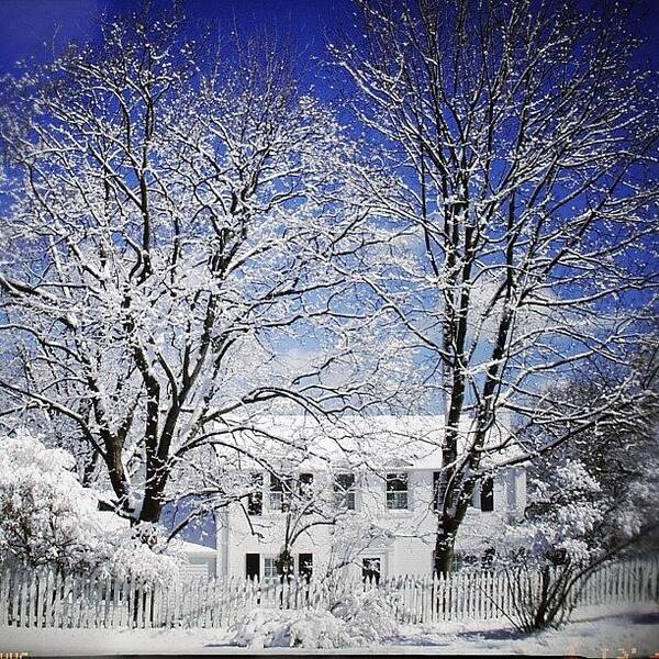 Beautiful Art Print featuring the photograph #snow #winter #house #home #trees #tree by Jill Battaglia