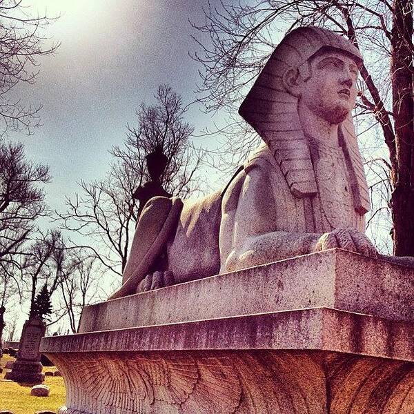 Sphinx Art Print featuring the photograph Sphinx by Tammy Wetzel