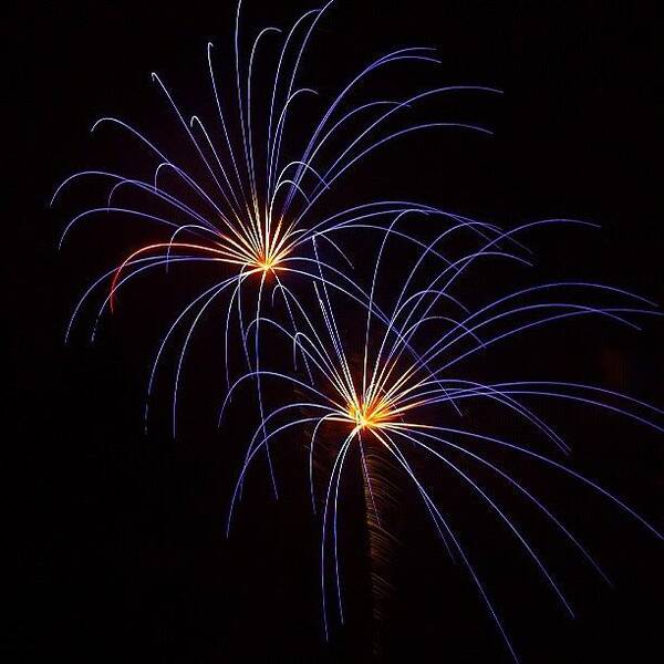 Blue Art Print featuring the photograph #spider Like #fireworks. #4thofjuly by Chad Schwartzenberger