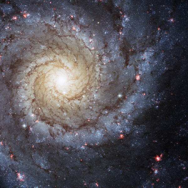 3scape Art Print featuring the photograph Spiral Galaxy M74 by Adam Romanowicz