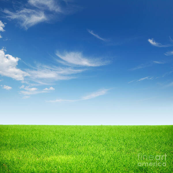 Spring Art Print featuring the photograph Spring Green Landscape by Boon Mee
