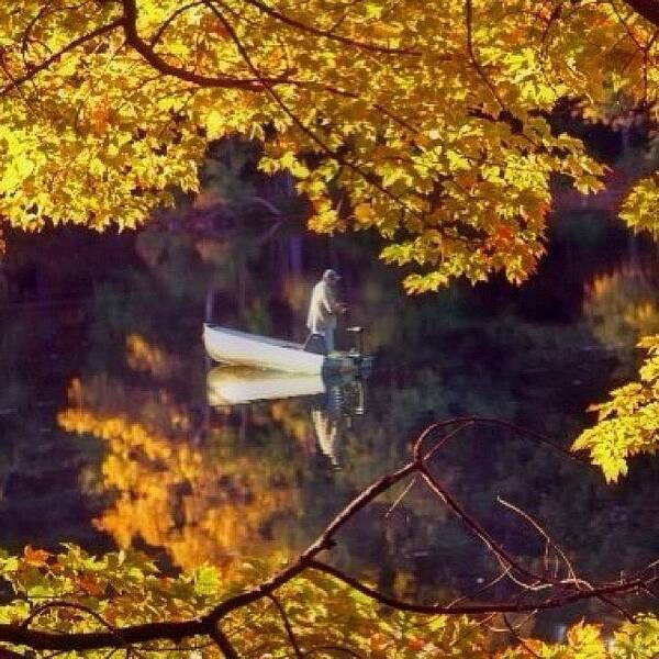 Newhampshire Art Print featuring the photograph Spying On A Lone Fisherman On The by Joann Vitali