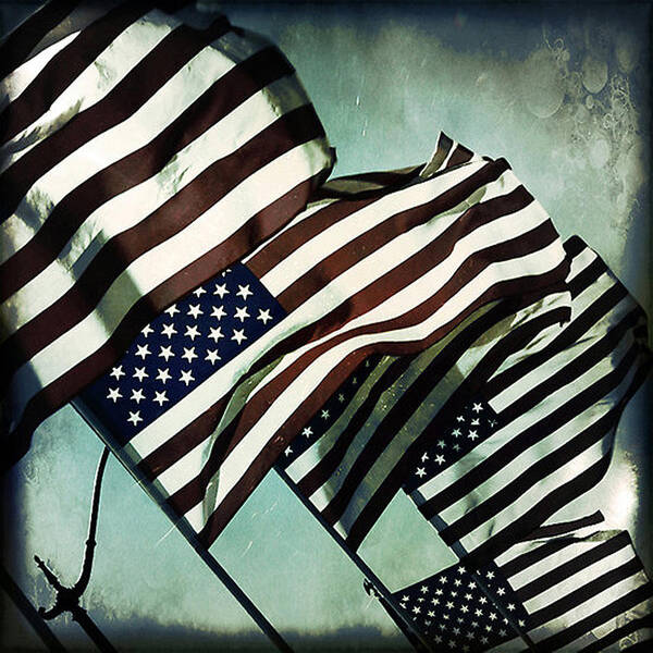 American Art Print featuring the photograph Stars n Stripes by Trish Mistric