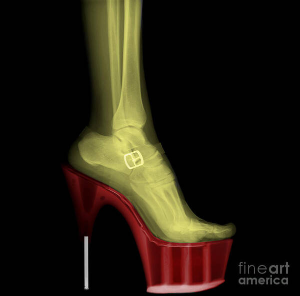 Stiletto Art Print featuring the photograph Stiletto High-Heeled Shoe by Guy Viner