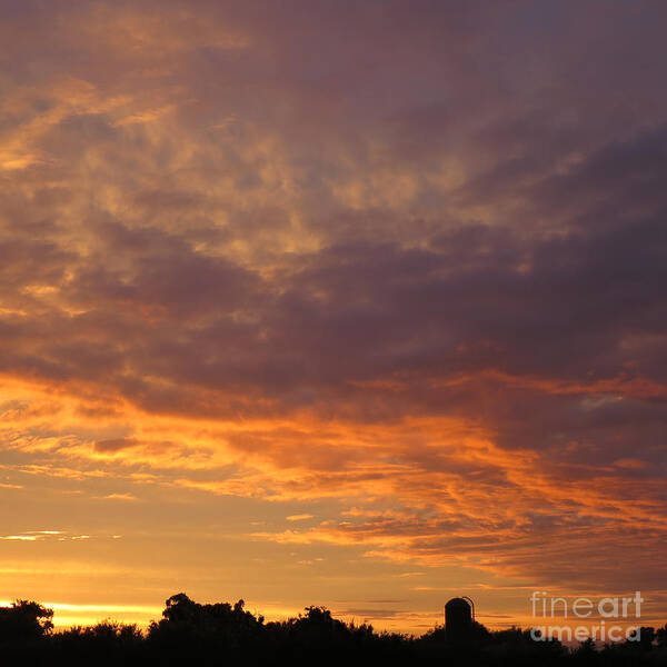 Sunset Art Print featuring the photograph Sundown on the Farm by Ann Horn