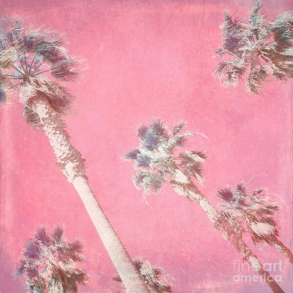 Palm Trees Art Print featuring the photograph Sunset Palms by Lisa Argyropoulos