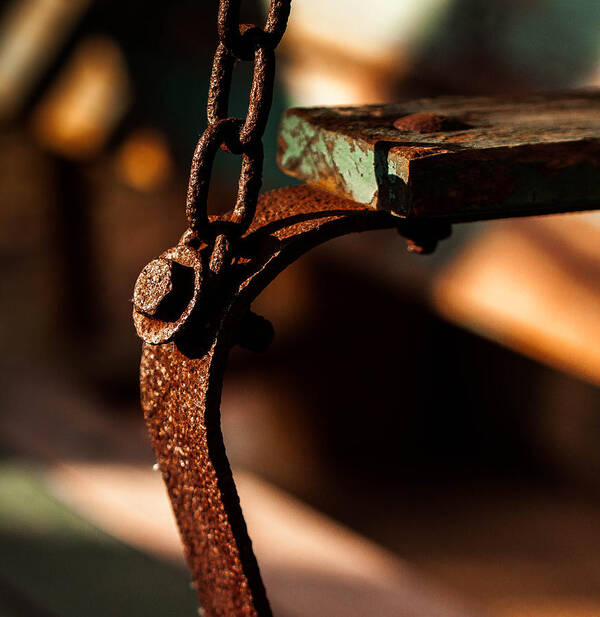 Porch Swing Art Print featuring the photograph Support by Haren Images- Kriss Haren