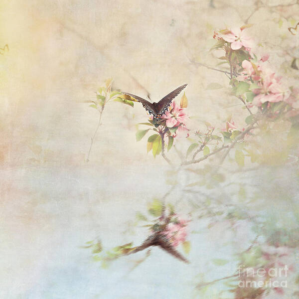 Butterflies Art Print featuring the photograph Swallowtail Over Water by Stephanie Frey