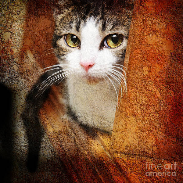 Cat Art Print featuring the photograph Sweet Innocence by Andee Design