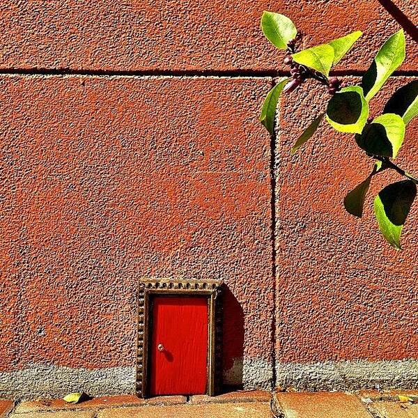 Doorsgalore Art Print featuring the photograph Teeny Tiny Door by Julie Gebhardt