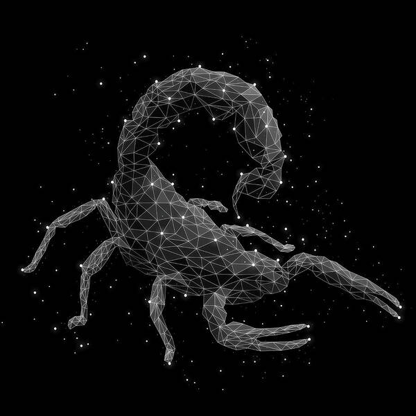 Animal Themes Art Print featuring the digital art The Constellation Of Scorpion by Malte Mueller