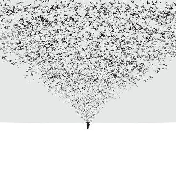 Birds Art Print featuring the photograph The Dark Half by Hossein Zare