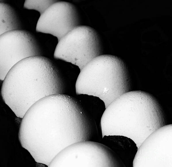 Still Life Art Print featuring the photograph The Egg Brigade by Jim Rossol