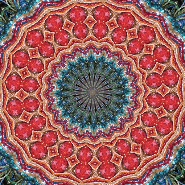 Kaleidoscopes Art Print featuring the digital art The Kaliedoscope Eyes by Alec Drake