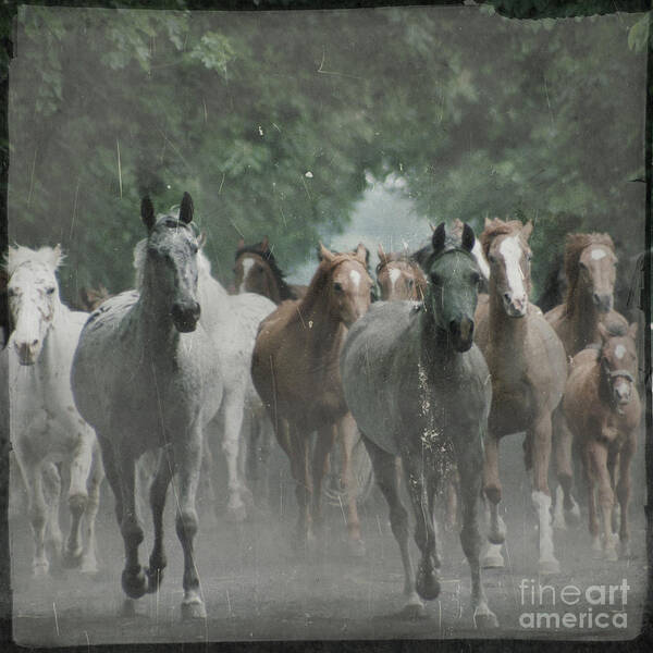 Arabian Art Print featuring the photograph The horsechestnut tree Avenue by Ang El