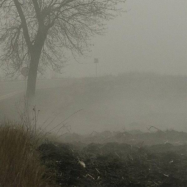 Grid Art Print featuring the photograph The #tree In The #fog #nature #romania by Vaivoda Vlad