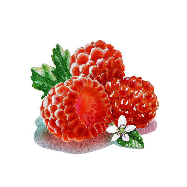 Raspberry Art Print featuring the painting Three Happy Raspberries by Irina Sztukowski