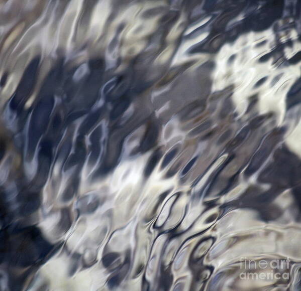 Abstract Nature Art Print featuring the photograph Thrill by Fred Sheridan