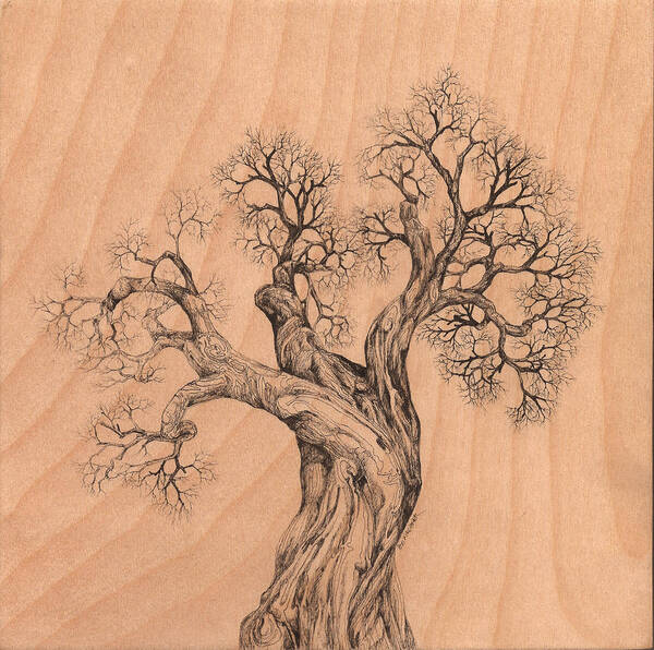 Pen And Ink Art Print featuring the digital art Tree 38 on Wood by Brian Kirchner