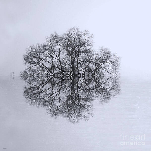 Photography Art Print featuring the photograph Tree of Reflection by Deborah Smith