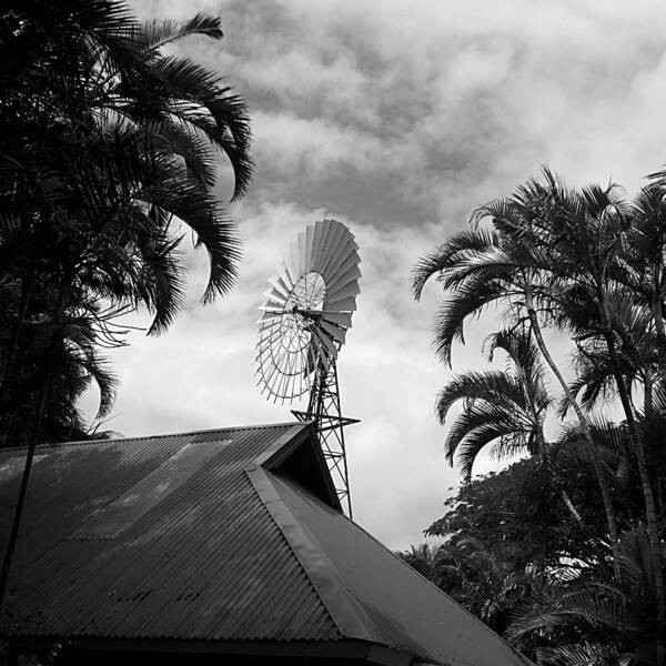 Maui Art Print featuring the photograph Tropical Windmill by Richard Reeve