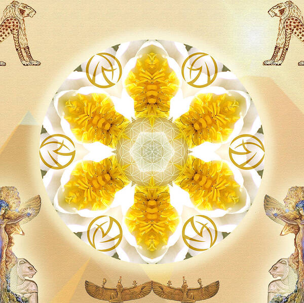 Soul Mandala Art Print featuring the mixed media Truth by Alicia Kent