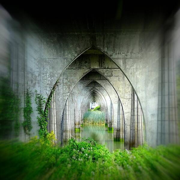 Arch Art Print featuring the photograph Tunnel Effect by Nick Kloepping