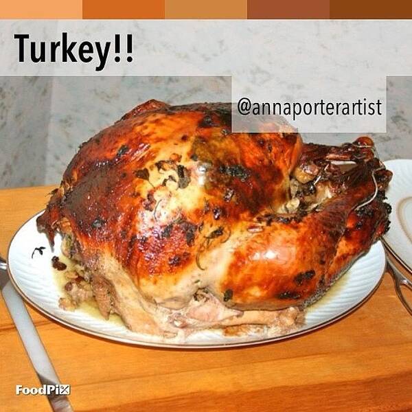 Foodpix Art Print featuring the photograph Turkey!! Cooked And Photographed By by Anna Porter