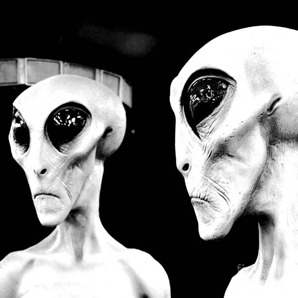 Alien Art Print featuring the digital art Two Grey Aliens Science Fiction Square Format Black and White Conte Crayon Digital Art by Shawn O'Brien