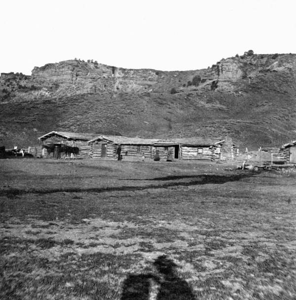 1869 Art Print featuring the photograph Utah Log Cabins, C1869 by Granger