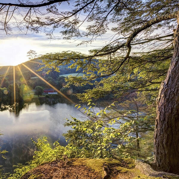 Sunrise Art Print featuring the photograph Valley Sunrise Square by Bill Wakeley