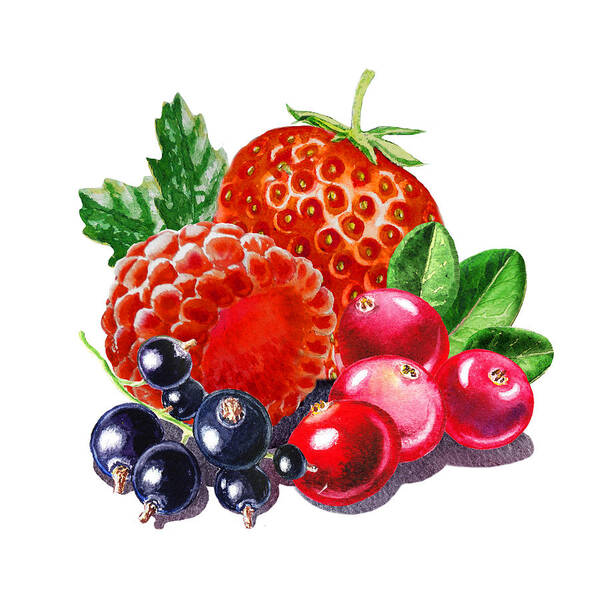 Very Very Berry Art Print featuring the painting Very Very Berry by Irina Sztukowski