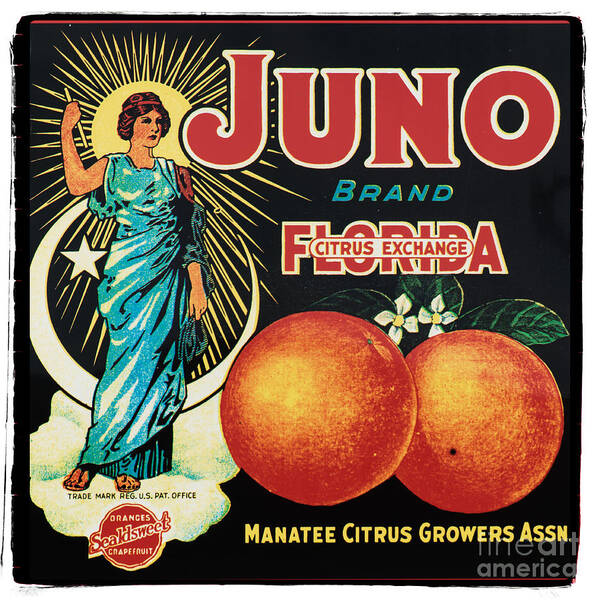 20s Art Print featuring the photograph Vintage Florida Food Signs 1 - Juno Brand - Square by Ian Monk