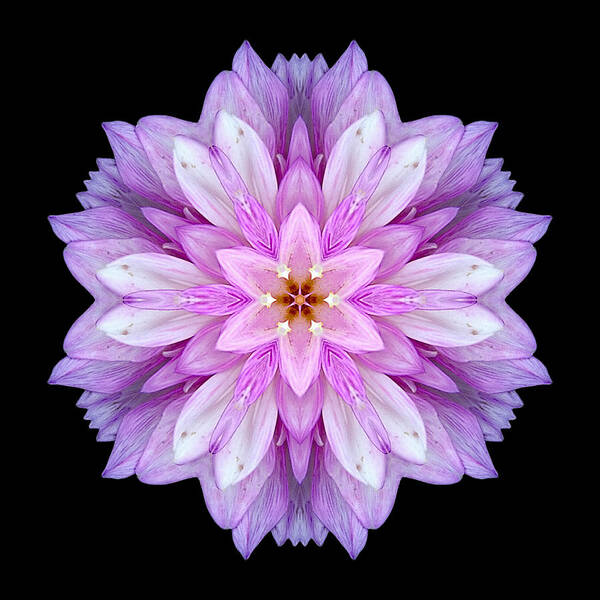 Flower Art Print featuring the photograph Violet Dahlia I Flower Mandala by David J Bookbinder