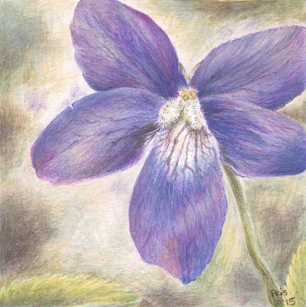 Flower Art Print featuring the painting Violet by Pris Hardy