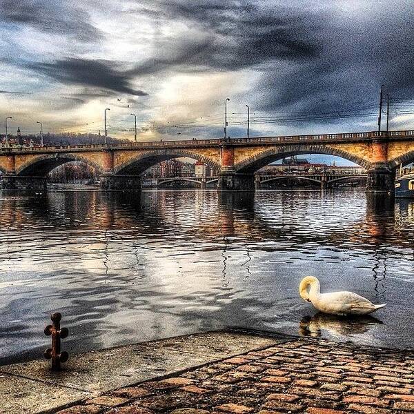 Bridge Art Print featuring the photograph #vltava #river #water #reflection by Aida Sheikholeslami