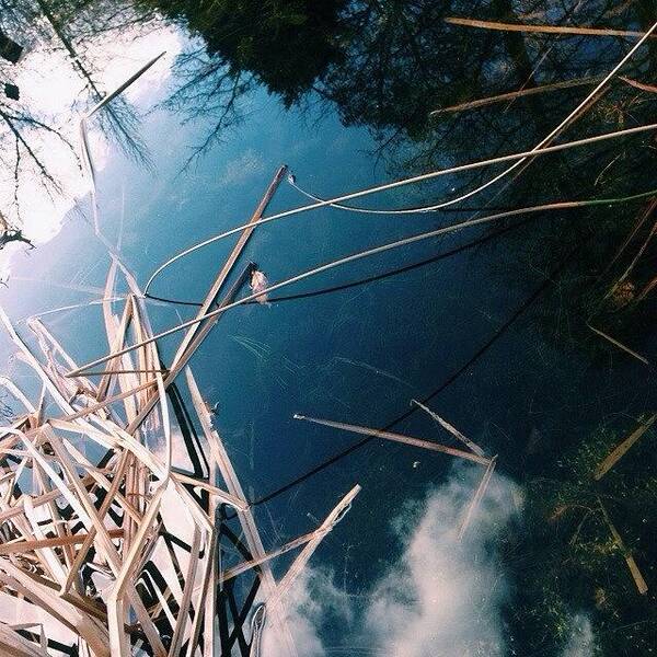 Ponds Art Print featuring the photograph #vscocam #water #ponds #reflections by James Harrison