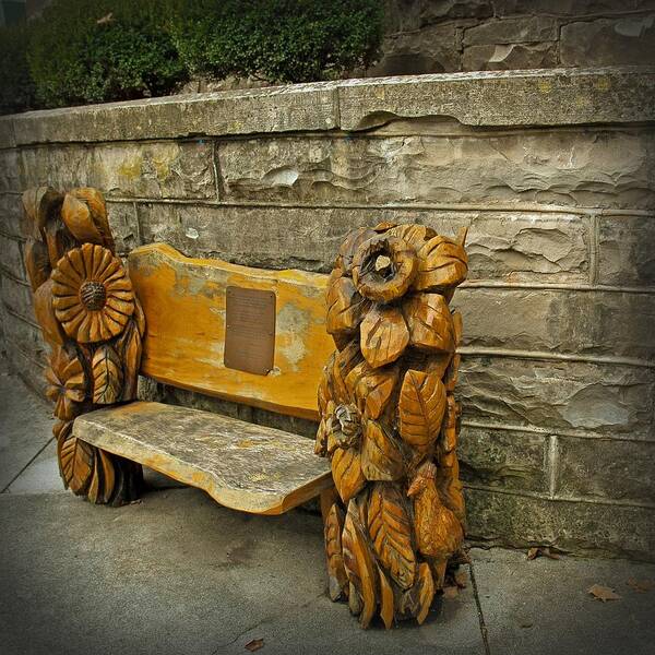 Carved Wooden Bench Art Print featuring the photograph Waiting For Tourist Season by Lena Wilhite